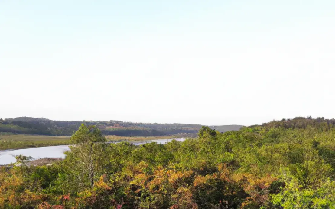 bico para tapete de crochê bico para tapete de crochê