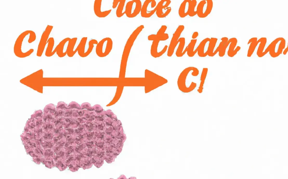 Tapetes de croché passo a passo