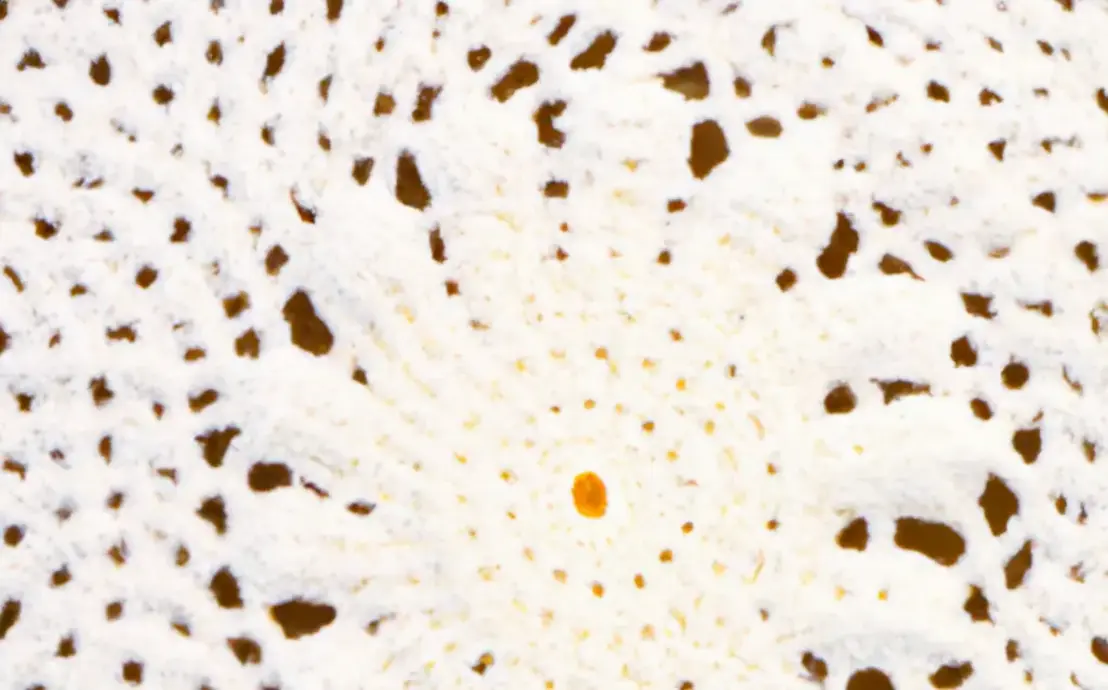 Tapete de croche meia lua