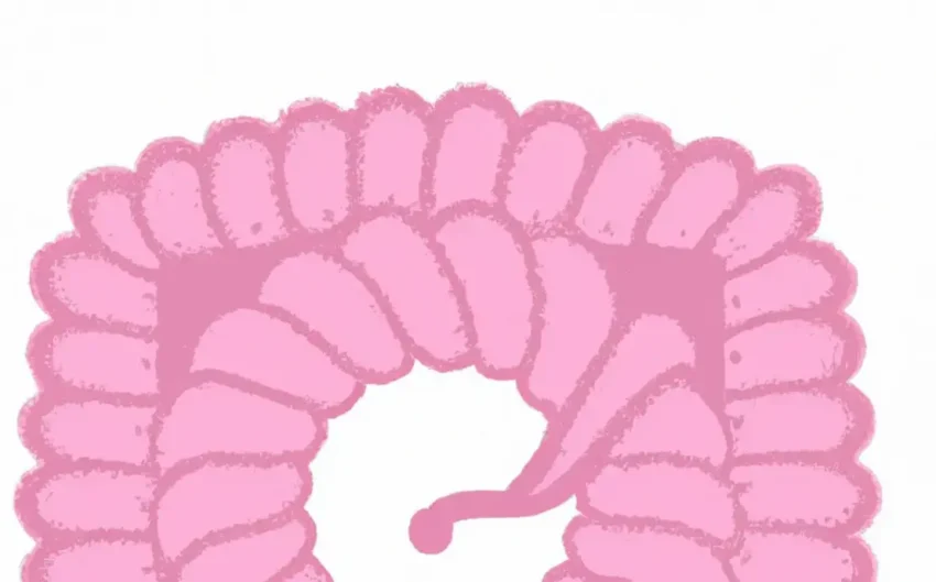 Simples bico de croche para fralda