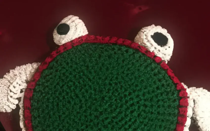 Tartaruga de crochê