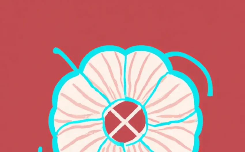 Toalhas de crochê redonda